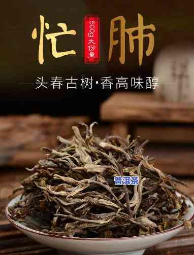 忙肺古树茶多少钱一公斤？最新市场价格解析