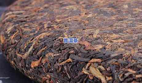 新茶普洱茶什么口感，探索新茶普洱茶的特别口感体验