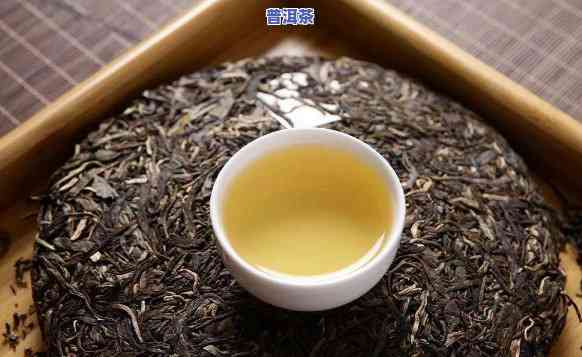 新普洱茶什么味道更好喝？探讨其口感特点