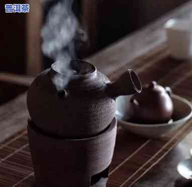 煮茶能不能用普洱茶代替茶叶，普洱茶是不是能替代茶叶实施煮茶？