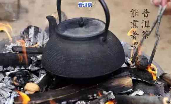 煮茶能不能用普洱茶代替-煮茶能不能用普洱茶代替茶叶