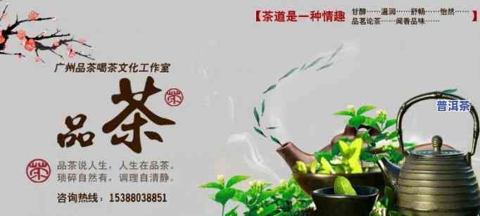 广东老班茶品，品味广东，畅享老班茶香——广东老班茶品