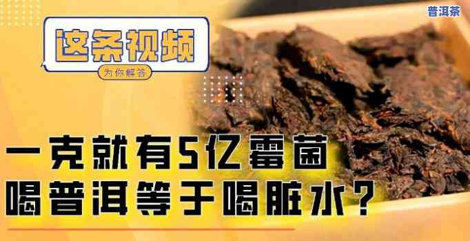 一克普洱茶等于5亿霉菌-普洱茶一克放多少水