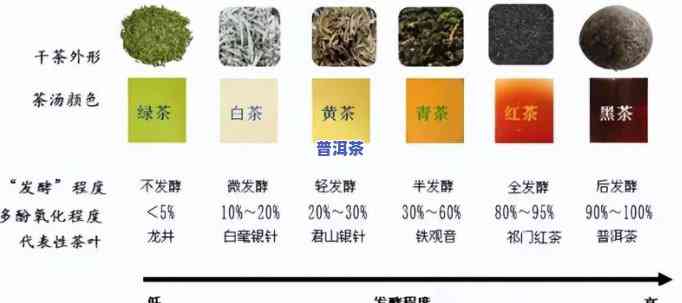 普洱茶区三大贡茶：品种、类别与茶叶全解析