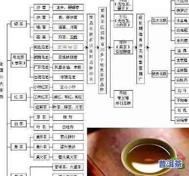 普洱茶区三大贡茶：品种、类别与茶叶全解析