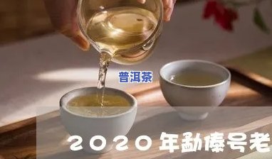 勐傣老班章品鉴：2020年度精选，深度解析勐傣茶厂的老班章