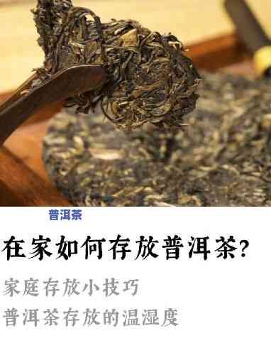 普洱茶温度多少合适存放？冬季存储需留意！