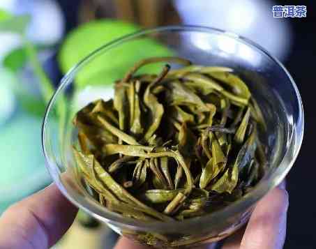 普洱茶每次泡多少，怎样正确冲泡普洱茶？每次应泡多少？