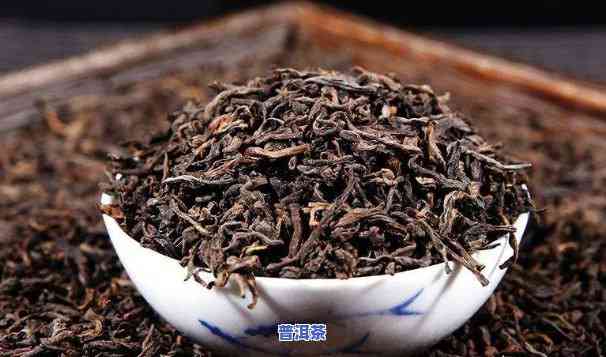 白茶与普洱茶：两者有何关联？