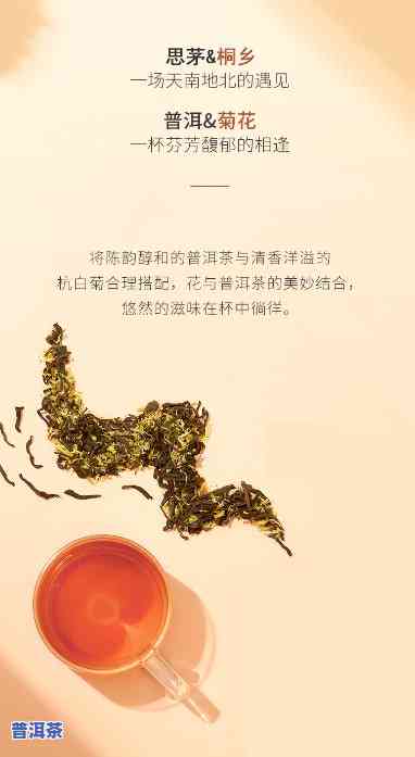 寻找菊花普洱茶产地？全网热门图片大揭秘！