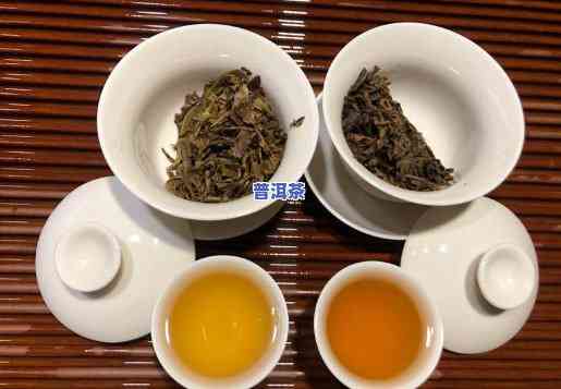 普洱茶生茶熟茶怎样储藏-普洱茶生茶熟茶怎样储藏好