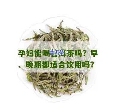 孕妇可以喝橘子普洱茶吗？早期、晚期都适合饮用吗？