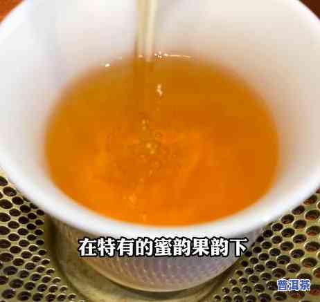 普洱茶转化原理图解大全视频详解教程