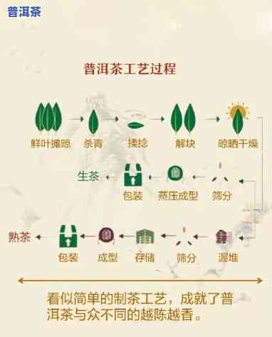 普洱茶转化是什么意思？详解茶叶氧化过程与特点