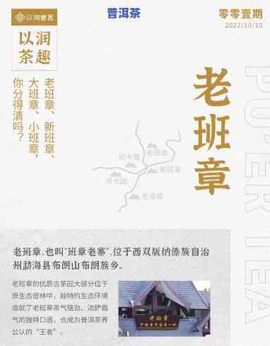 老班章文化发展：基本账号与官网介绍