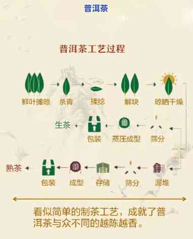 怎样绘制普洱茶压饼包装的流程图？