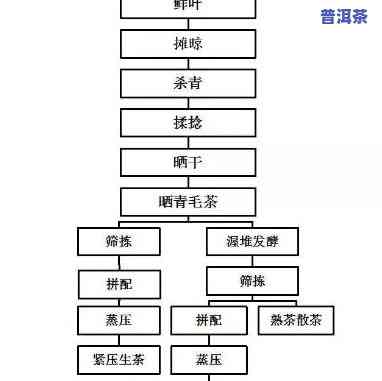 怎样绘制普洱茶压饼包装的流程图？