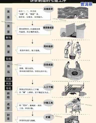 怎样绘制普洱茶压饼包装的流程图？