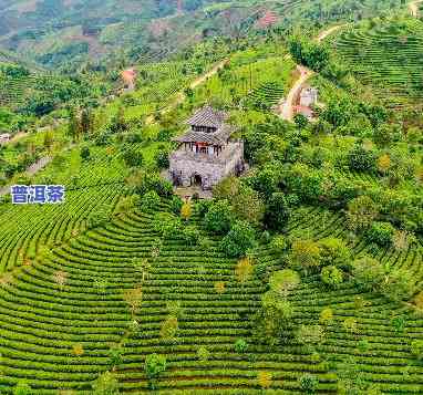 中华普洱茶博览苑图片，探索千年茶文化：中华普洱茶博览苑精美图片大赏