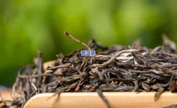 功夫茶叶和普洱茶哪个好-功夫茶叶和普洱茶哪个好喝