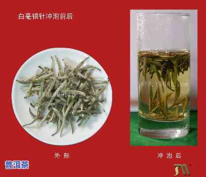 普洱茶银针是啥品种，解密普洱茶银针：探秘这款神秘茶品种的由来和特点