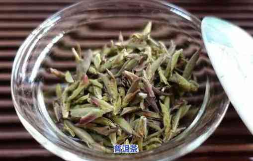 普洱芽孢属于什么茶？详解其类别与品种