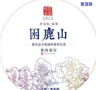 困鹿山红茶是不是普洱茶-困鹿山红茶特点