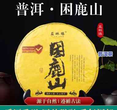 困鹿山红茶是不是普洱茶-困鹿山红茶特点