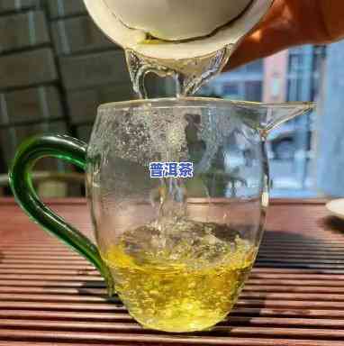 老班章茶气太猛，品尝老班章：感受其强烈的茶气魅力