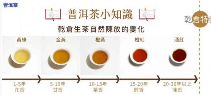 全面解析：普洱茶每年的口感变化图表及其分析