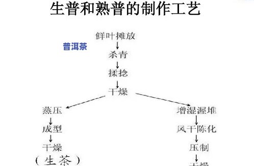 深度解析普洱熟茶发酵工艺及作用程度