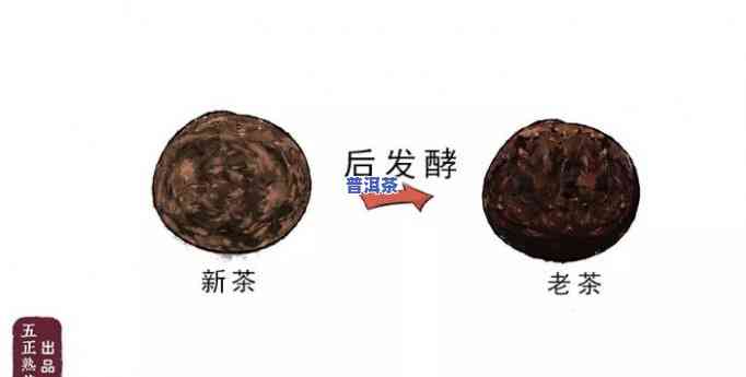 普洱后发酵茶：全解析，你能喝吗？