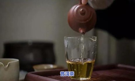 深入熟悉：老白茶与黑茶的本质区别