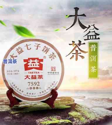 大益普洱茶越放越好喝吗-大益普洱茶越放越好喝吗为什么