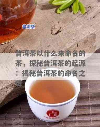 普洱茶的名字源于什么，揭秘普洱茶名字的由来