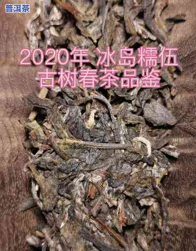 2020年冰岛糯伍茶价格多少？最新行情解析