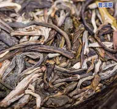 普洱茶干仓与湿仓的区别及含义解析