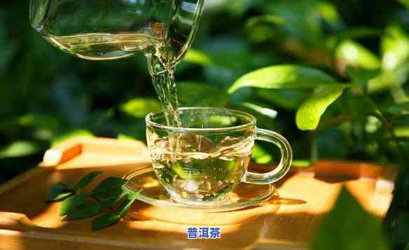 普洱碧螺春是什么意思，探秘茶叶世界：普洱碧螺春的含义解析