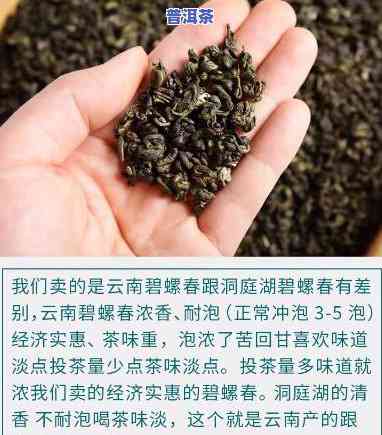 碧螺春产地云南普洱-碧螺春属于云南名茶吗