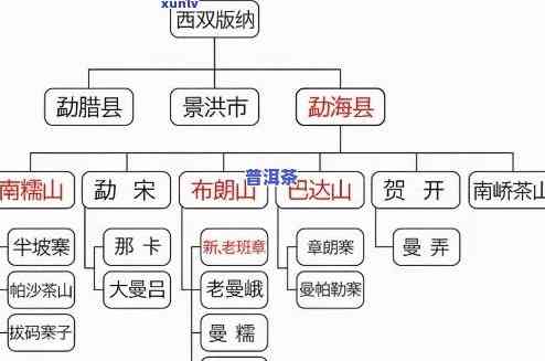 一级的普洱茶品种名称全解析及图片展示