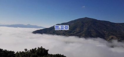 2013年老班章茶，探秘2013年老班章茶：口感、品质与历史价值的深度解析