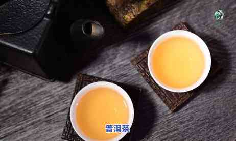 普洱茶生津是指的什么，探秘普洱茶生津：熟悉这一特别口感背后的科学原理