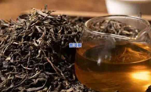 什么人群不能喝熟普洱茶-什么人群不能喝熟普洱茶呢