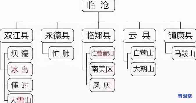 探究普洱茶不同茶产区的特别特点与区别