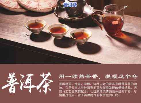 2005普洱茶鉴赏，品鉴2005年普洱茶：一场味觉与历史的对话