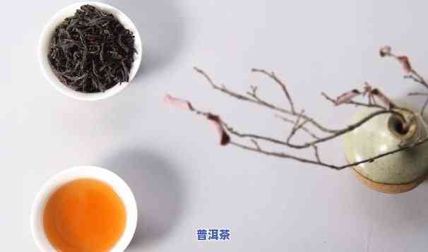 岩茶与普洱：哪种茶叶的减肥效果更优？