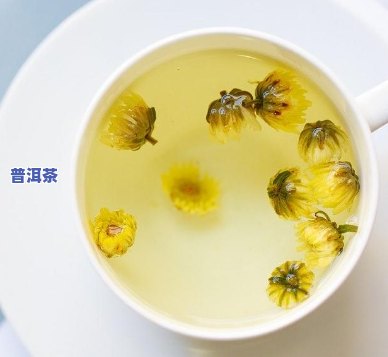 怎样选择适合的菊花泡普洱茶？详解菊花普洱茶的更佳搭配