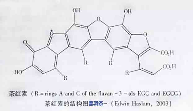 普洱茶会有色素吗，揭秘普洱茶中的色素：是不是存在？