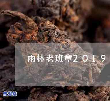 雨林老班章熟茶：探索2019年古树茶的独特魅力