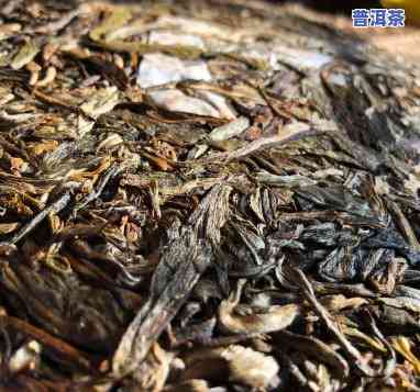 雨林老班章熟茶：探索2019年古树茶的独特魅力